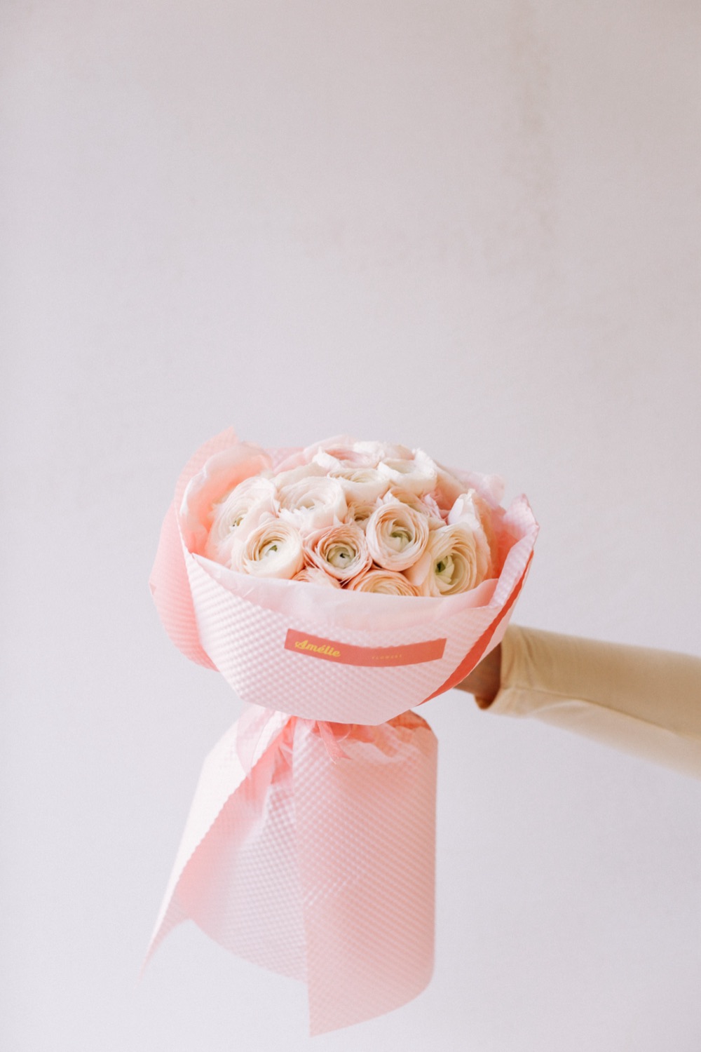 Cotton Candy